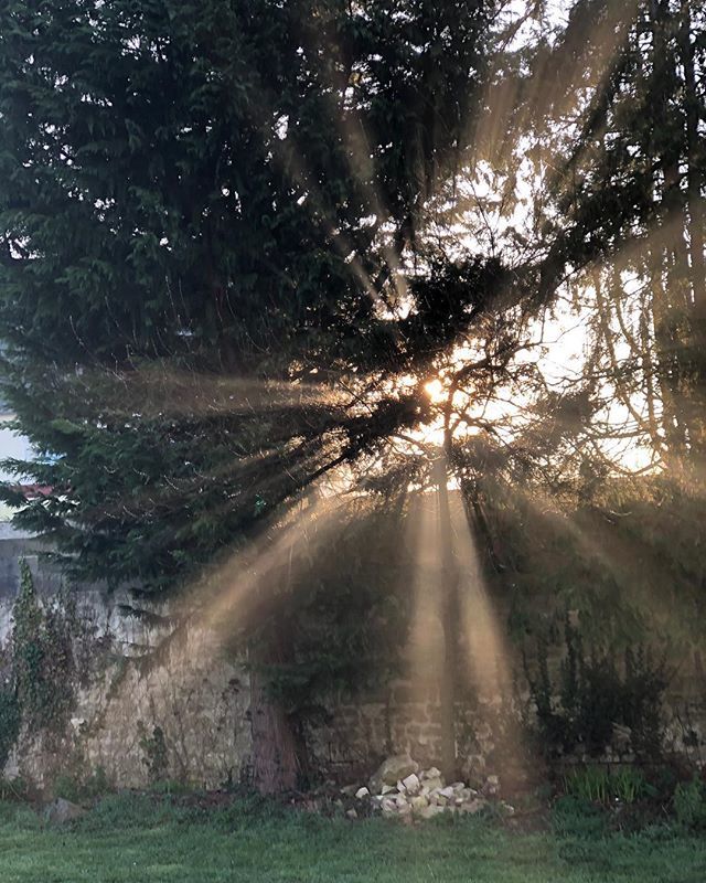 NicObjectif's tweet photo. Matin normand. #normandie #soleil #dimanche #iphone8plus https://t.co/UEdpV5Pf4q