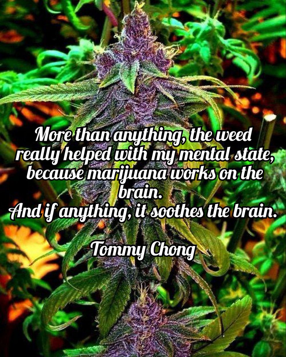 SammyRaeFitz's tweet photo. Good Morning and Happy Sundayto All You Supercalifragilisticexpialidocious Folks out there😁😁😁😁😁❤... Have a Great and Productive Day!

#oklahomamedicalmarijuanapatient 
#oklahomamedicalmarijuana 

#420changingtheworld
#420somewhere
#420Happy
#patientsfirst
#wontbackdown https://t.co/Wt68lmwlIm