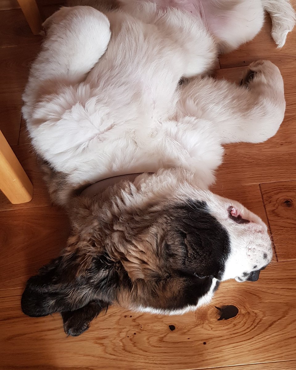 Another hard day at the office