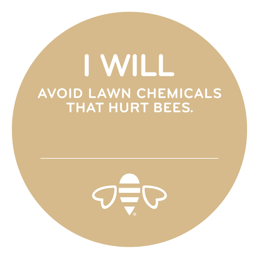 beesponsible's tweet photo. If bees had to listen to pharmaceutical ads...

Talk to your bee doctor about pesticides to see if they're right for you. Side effects include:
🚫 Impaired flight and navigation
🚫 Slowed learning
🚫 Reduced sense of smell
🚫 Untimely death

We think they'd sign, will you? https://t.co/BTq2VQ8LHX