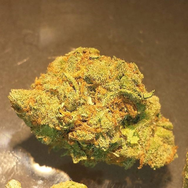 OrwigVicky's tweet photo. Staying lifted all day and night https://t.co/UdDPvwPy31