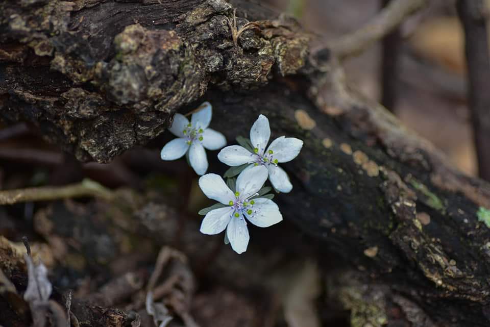 오늘 하루도
수고한 당신에게.
땀방울 고이도록
부지런히
달려 온 당신에게.
정말 고생 많았다고
말해 주세요.
-이근대-