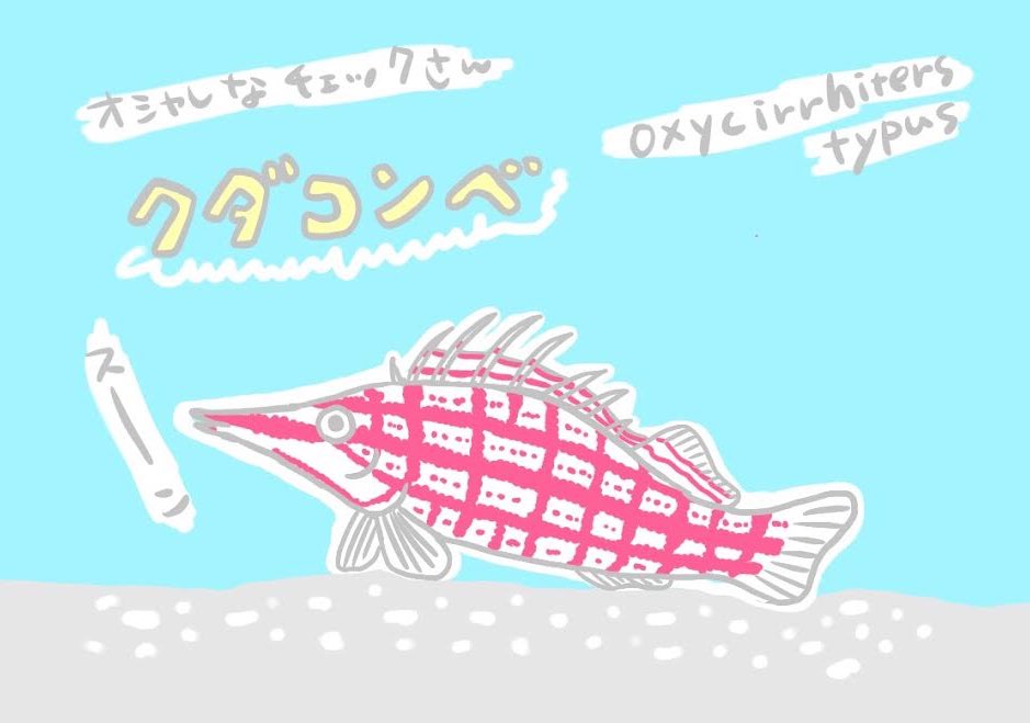 あきねこ Fish So Good Auf Twitter とにかくね 楽しく沢山描かなきゃって思ったんだ もっともっと知らないとスラスラ描けないからね さかなクン 質問に答えながらサラサラ描いてて凄かったなぁ クダゴンベ ダイビング 水族館 イラスト 絵 イラスト好きな