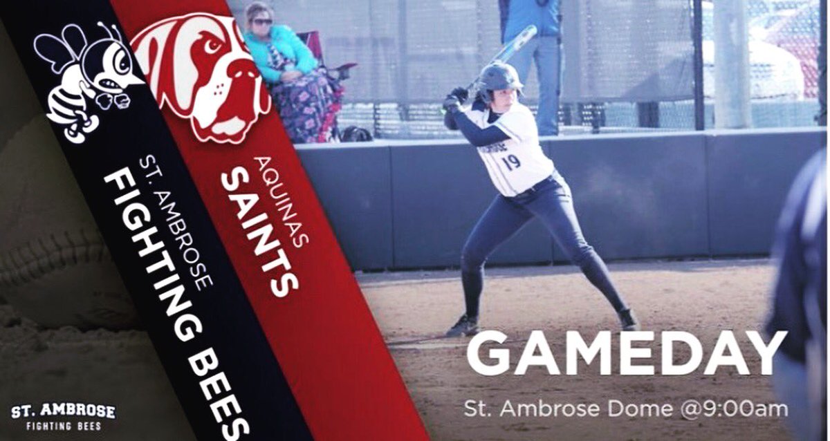 SAUBeesSoftball's tweet photo. GAMEDAY!! #GoBess #SAUSoftball 🐝🔥💣 https://t.co/WYs6Lbfz0H