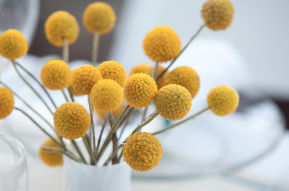 Eve_duiap's tweet photo. Tendance déco : le retour en beauté des fleurs séchées https://t.co/IxwmErPASR https://t.co/u4K3a7fciC