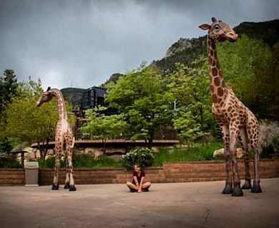 GoingThere1's tweet photo. I have a slight obsession with these amazing creatures. And at the @cheyennemountainzoo they have a perfect setup for anyone to up close and personal!!! Photo credit to my amazing husband! #goingthere #giraffe #feedthegiraffe #ilovemyhusband #ilovemyfamily https://t.co/RXJh3p1vOY https://t.co/H3C2OLMVsZ