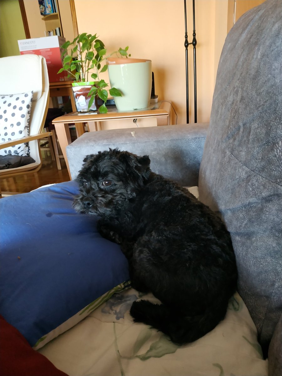 Bea Hernández tweet media