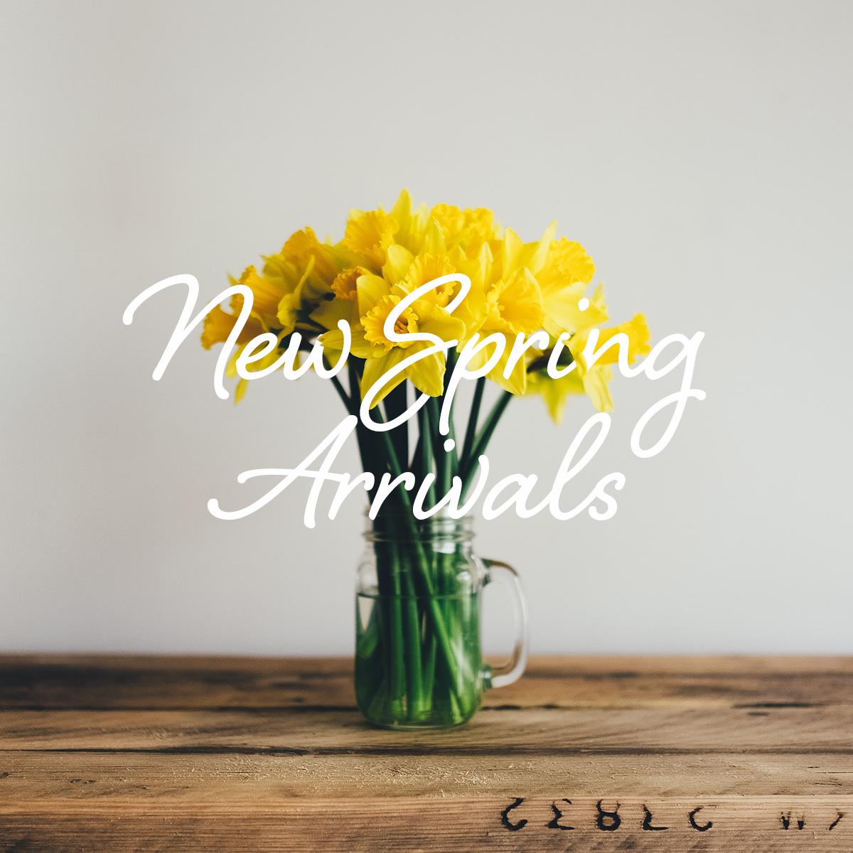 AlbManchester's tweet image. Shop all our new spring arrivals!  #apricotlanemanchester #springtimeinvermont #trendingstyle #trendingfashion #z...