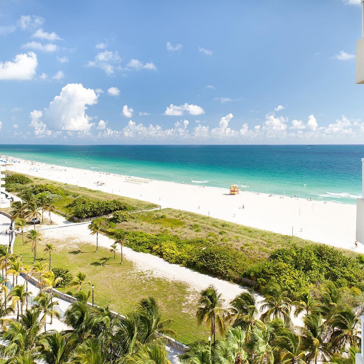 StantonSoBe's tweet photo. A beach day's on the horizon. (Instagram/inlovemag) https://t.co/n0ftHS9DNI