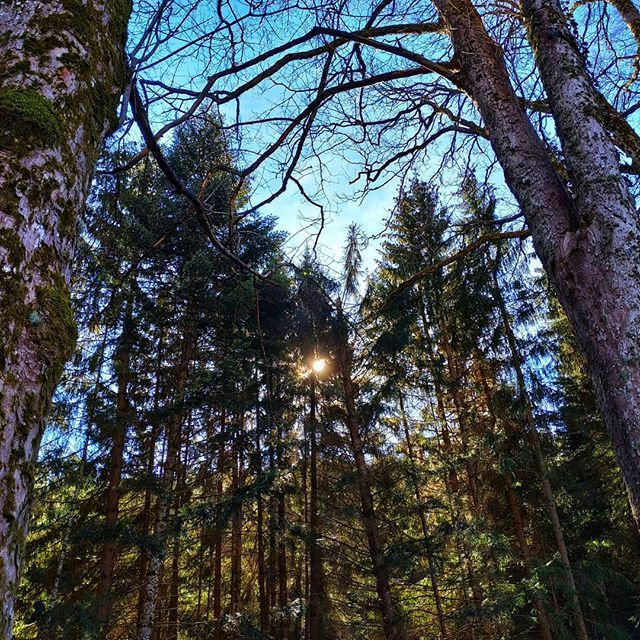VirginieDB's tweet photo. 🌞🌞🌞😍😍😍
#sun
#paysdebarr 
#visitpaysdebarr 
#visitalsace 
#jaimelafrance https://t.co/GprSdjO1K8