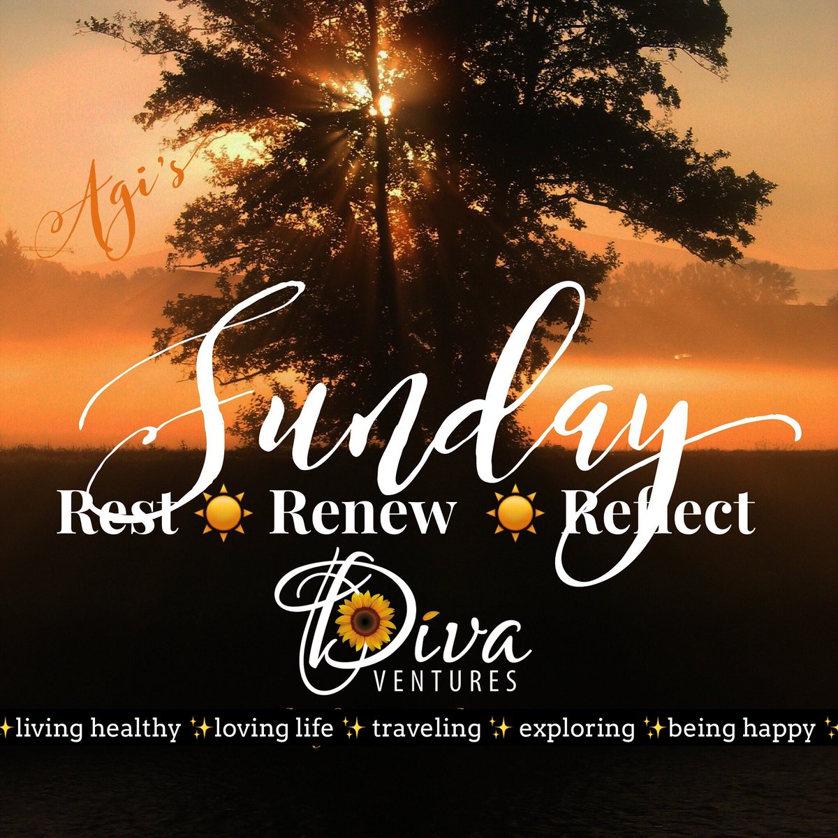 agianderson's tweet image. Sunday is a wonderful day for #renewal #restandreflect #downtime enjoy your day, relax, have some fun.