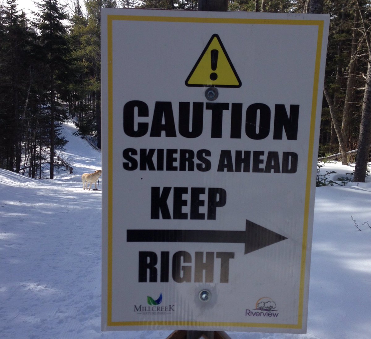 Besides their pointy sticks, why <a href="/TownofRiverview/">Town of Riverview</a> should I be cautious around skiers?  Safety issue? #greattrails #riverview #curious #groomedtrails
