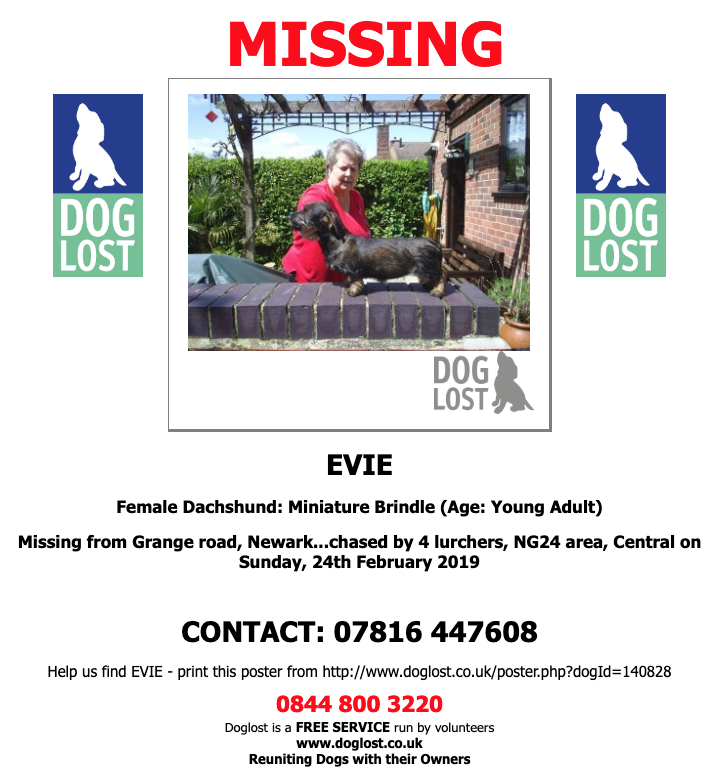 DogLost.co.uk  
#LOST  #DOG  EVIE
Female #Dachshund: Miniature 
 #Newark   #NG24 
Sunday, 24th February 2019  #LostDog  #ScanMe  doglost.co.uk/dog-blog.php?d…  <a href="/VetsGetScanning/">MakeChipsCount to Reunite Pets</a> <a href="/SAMPAuk_/">Stolen&Missing Pets</a>