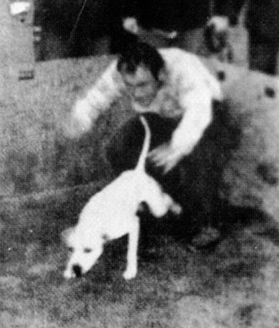 GAMEDOG69041011's tweet photo. GAMEDOG  https://t.co/oD1f6dgr13 
Historical Pictures of Historical gamedogs, like:
...  Chinaman POR.
...  Mayday ROM
... Frisco
... Indian  Bolio ROM
... Billy The Kid
... Redboy
... Crenshaw
... Eli/Jocko 
... With MANY MORE.
** Only at https://t.co/Xoz6rotC0K
#apbt #dogs #pet https://t.co/Jjju7jq41u