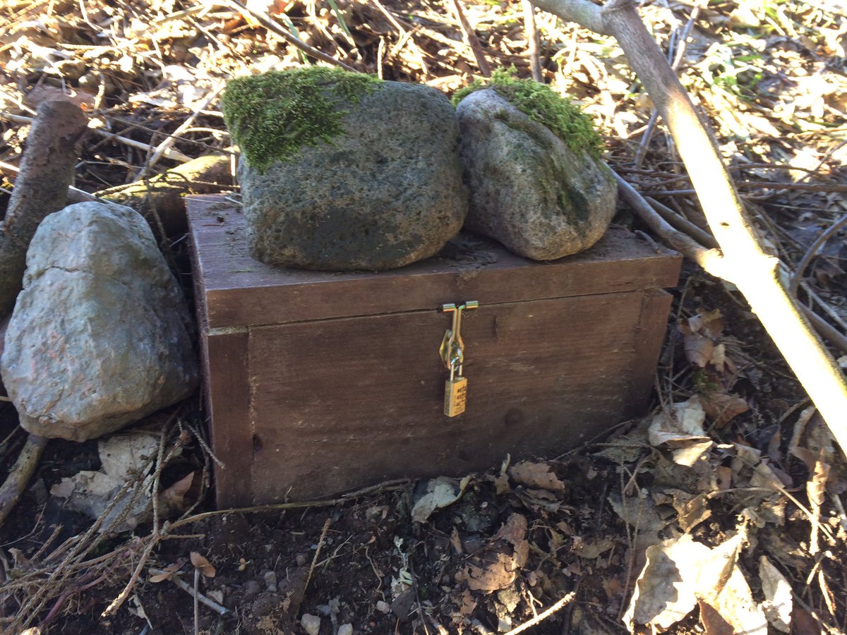 Reinhard Fuchs tweet media