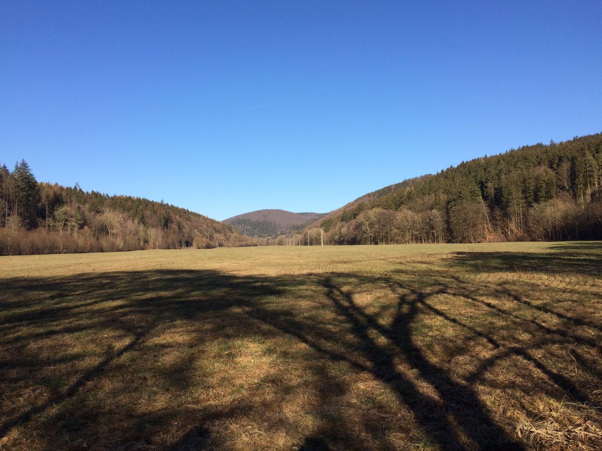 Reinhard Fuchs tweet media