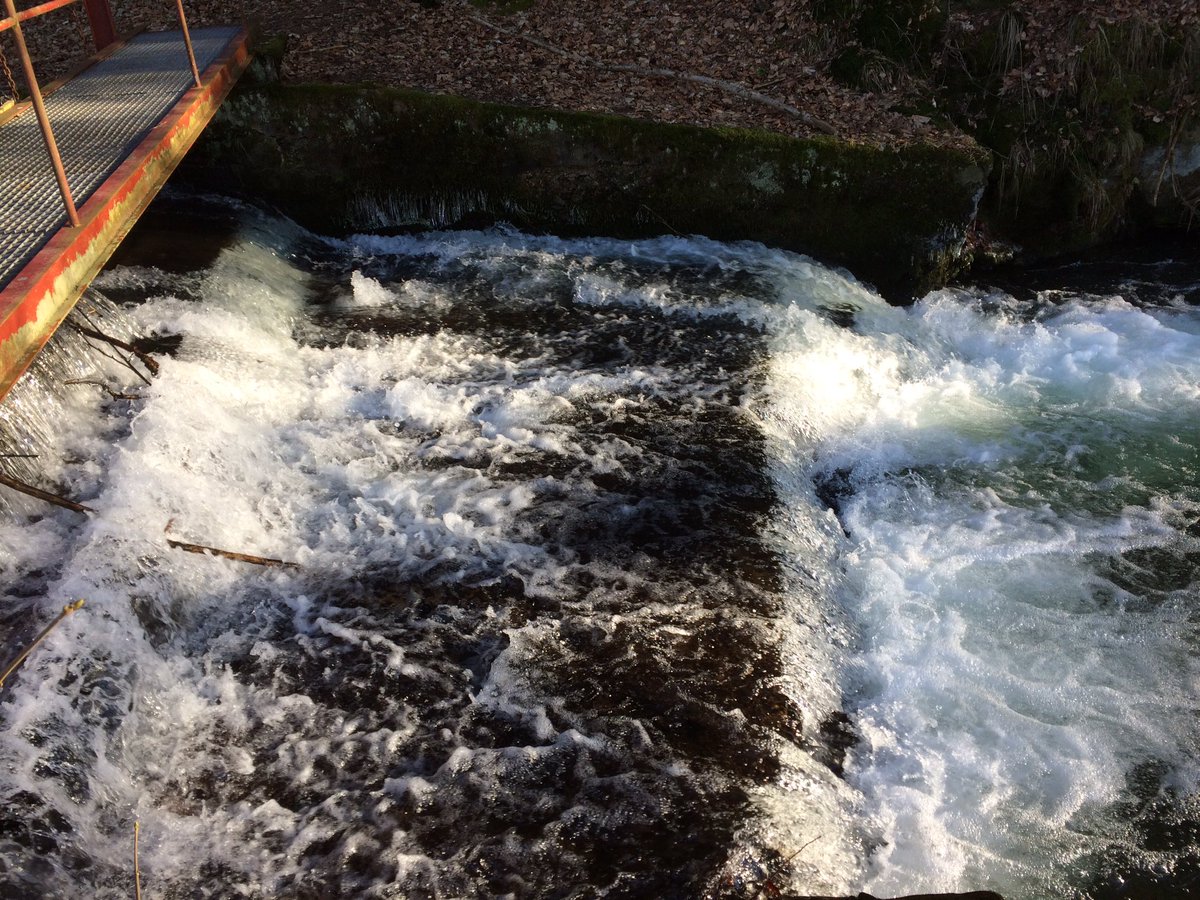 Reinhard Fuchs tweet media