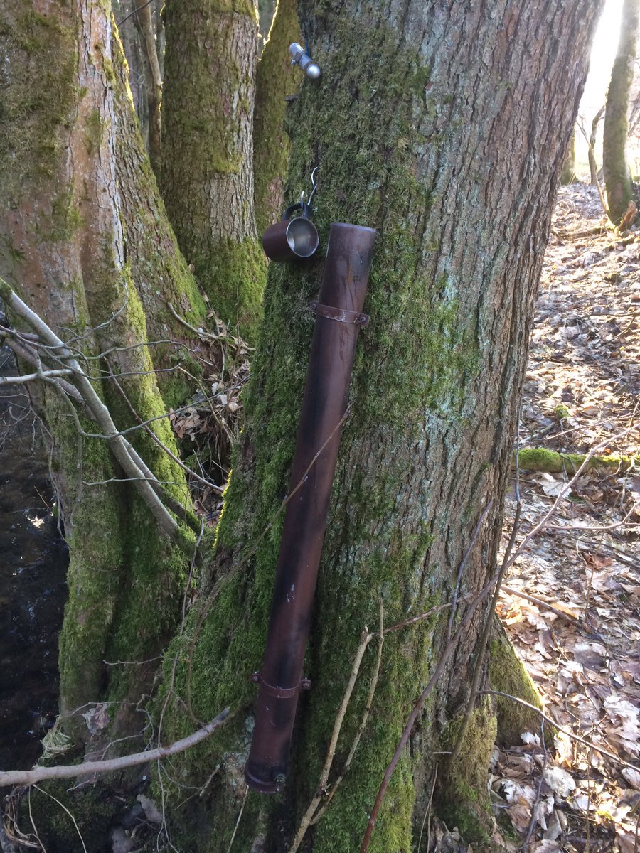 Reinhard Fuchs tweet media