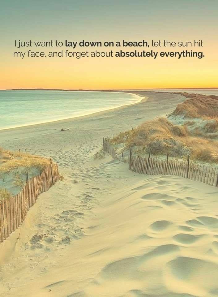 BKOH4062's tweet photo. 🌞🌞🌞
#Sunspiration
#SummerVibes
🌞🌞🌞 https://t.co/UO0b8yjtdf