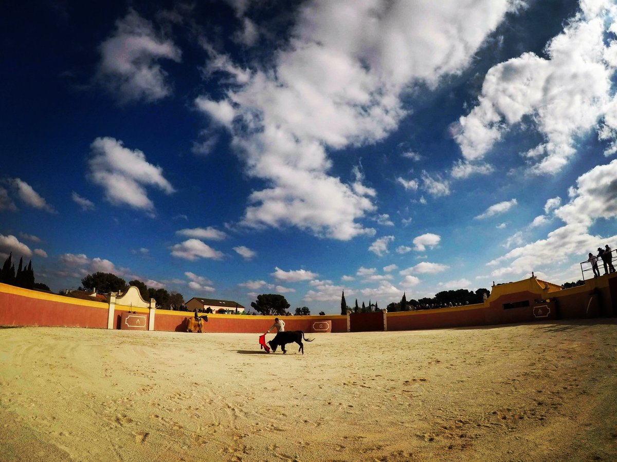 Lo de soñar solo dormidos es para conformistas.
