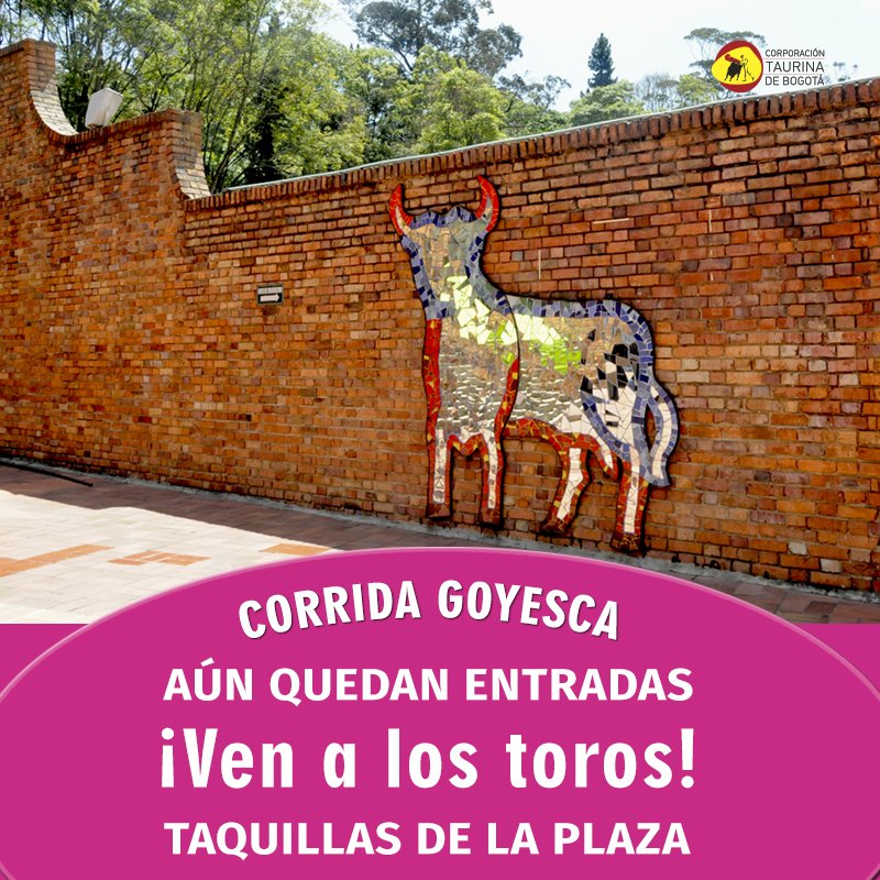 Aún quedan entradas
Taquillas de La Plaza
#CorridaGoyesca
PONCE - CASTELLA - RAMSÉS
¡Vamos a llenar La Santamaría!
