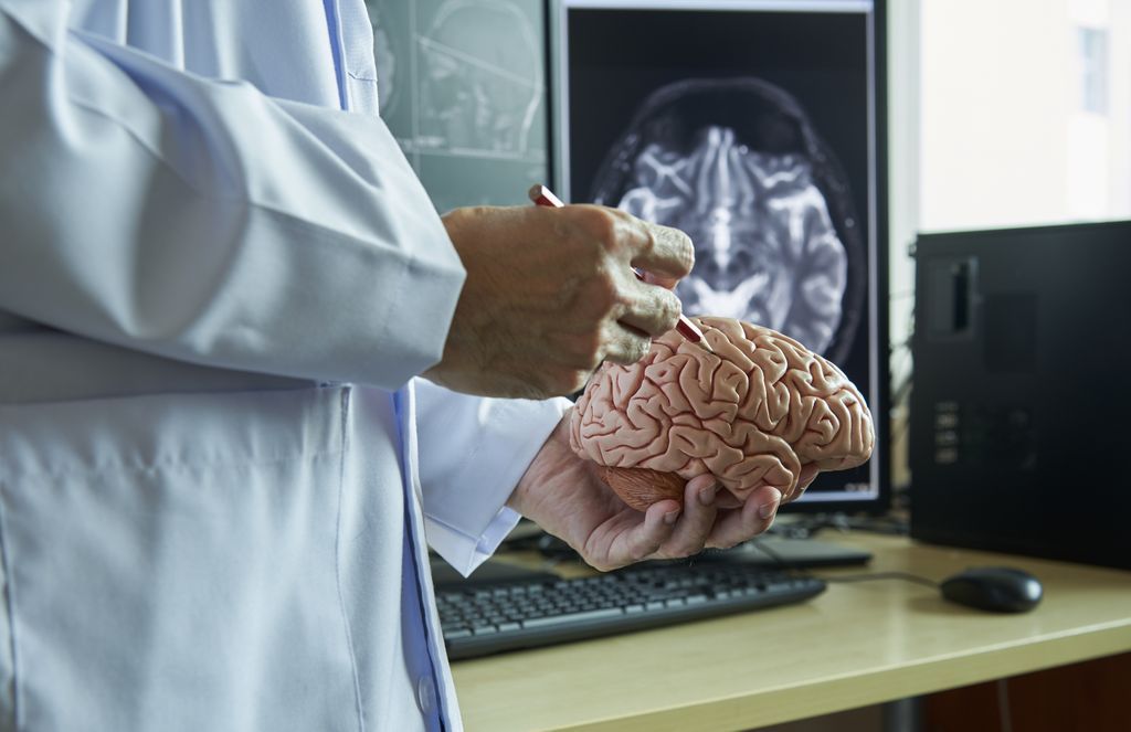 ThinkTankExile's tweet photo. Cannabis Exposure Not Associated With Significant Changes In Brain Morphology, According to Two Recent Studies https://t.co/FDmLyWkKMK https://t.co/JXPB9ukxRo