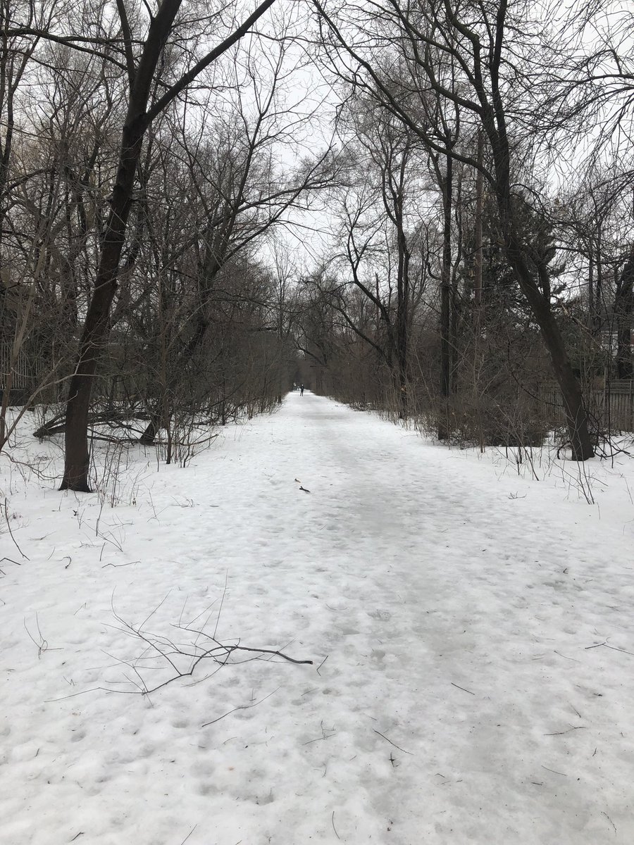 lordkatherine's tweet photo. Well..wasn’t the isolated nature trail excursion I wanted ( too much damn ice... this is getting old) but it was part trail/ part neighbourhood exploration along the belt line ...amazing mild temps.. felt good #urbantrailrun #eternalfebruary #donewithice https://t.co/aYLEhinaNc