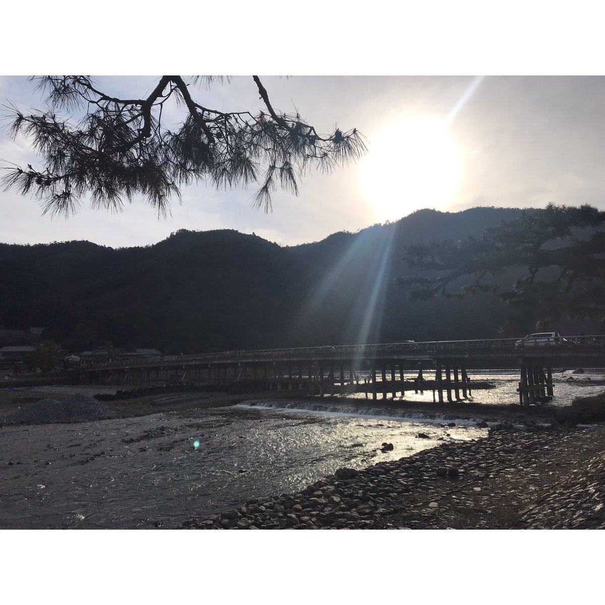 akarats24's tweet photo. 今年もみんなでサンクスフェスタ🎢🎡＆嵐山散策🍵🍡

楽しすぎて来年が既に待ち遠しい🤦🏻‍♀️

#wolfgang
#USJ
#くれおーる
#嵐山 https://t.co/4J2bIX1HRX