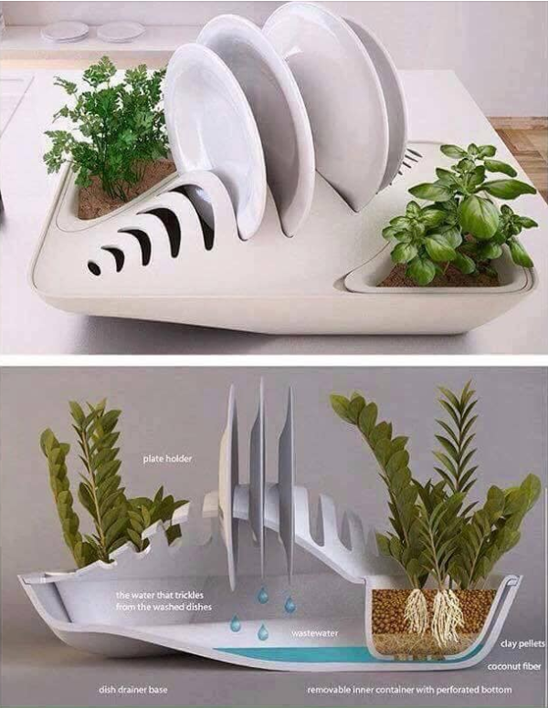 LisaMeowLisa's tweet photo. No idea on the source of this image.
Did you know that adding #plants to your living space increases #mindfulness?
#ENVR545 #sustainble #developement #design #dishes #kitchen https://t.co/8B13YVon7h