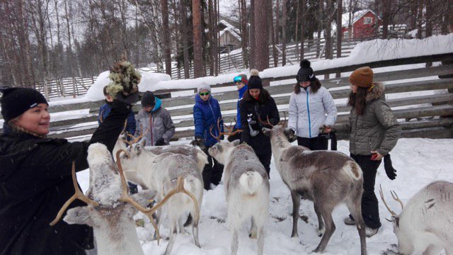 CapMonde's tweet photo. Aujourd'hui direction la Finlande avec notre séjour sur place ! 🇫🇮
Au programme de cette colo : découverte de la beauté des paysages, balades en traineau tiré par des rennes, batailles de boules de neige, construction d'igloos...
En bref, le rêve 😍
#capmonde https://t.co/SvnnWNB5aX