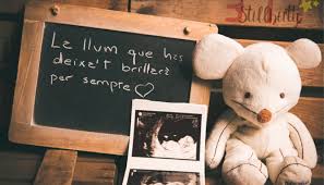 Tenir una imatge del petit que has perdut ajuda a fer més suportable el dol, a deixar constància que aquella criatura que va morir a la panxa o al cap
de pocs dies de néixer, va existir. Gràcies <a href="/NormaGrau/">Norma Grau</a> pel teu imprescindible projecte proyecto-stillbirth.org  #dolperinatalTv3