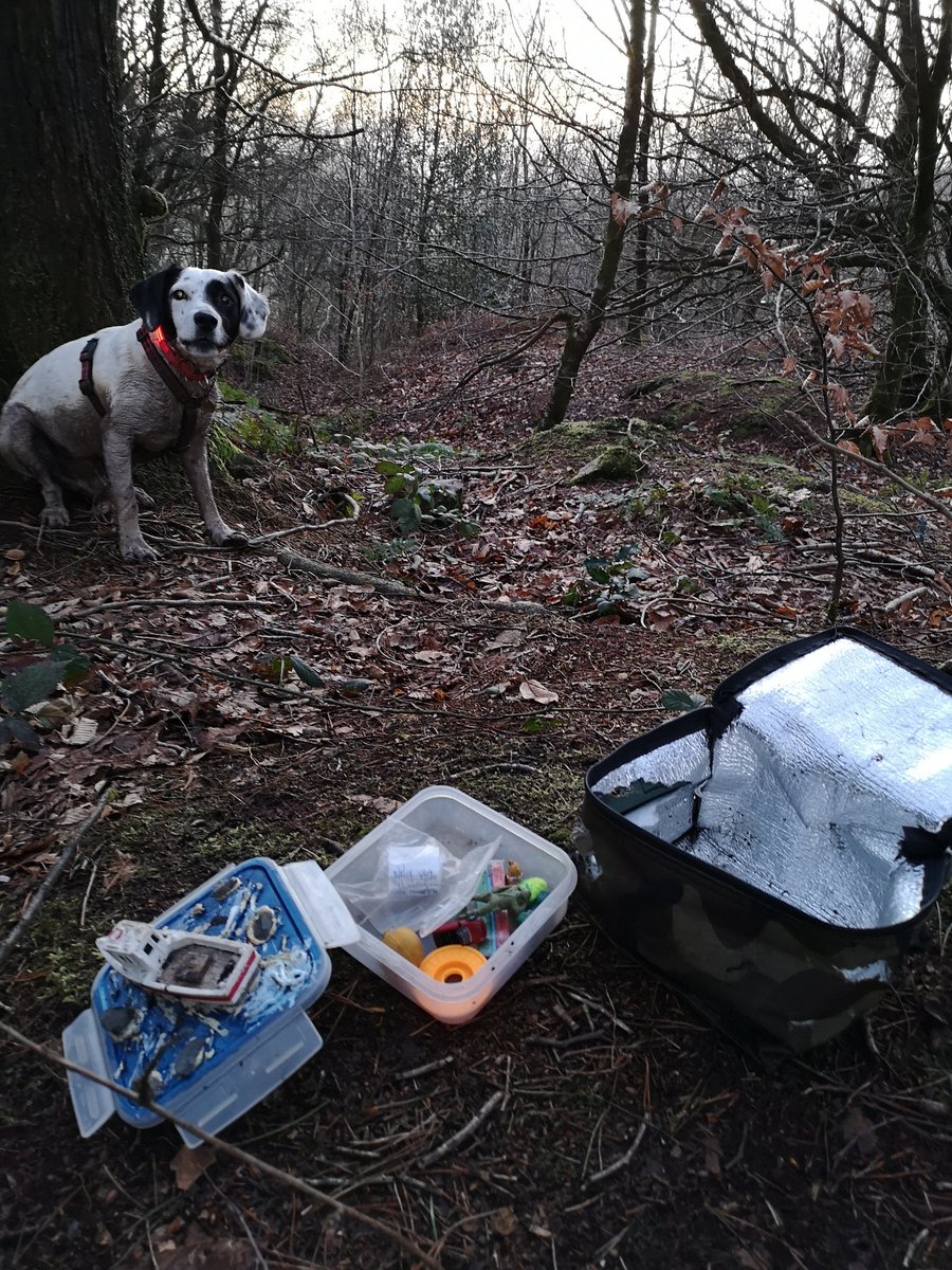 I think my dog must have built in GPS. He went off furtling in the woods and returned with a #geocache! Good doggie! #blackborough #devon #blackdownhills