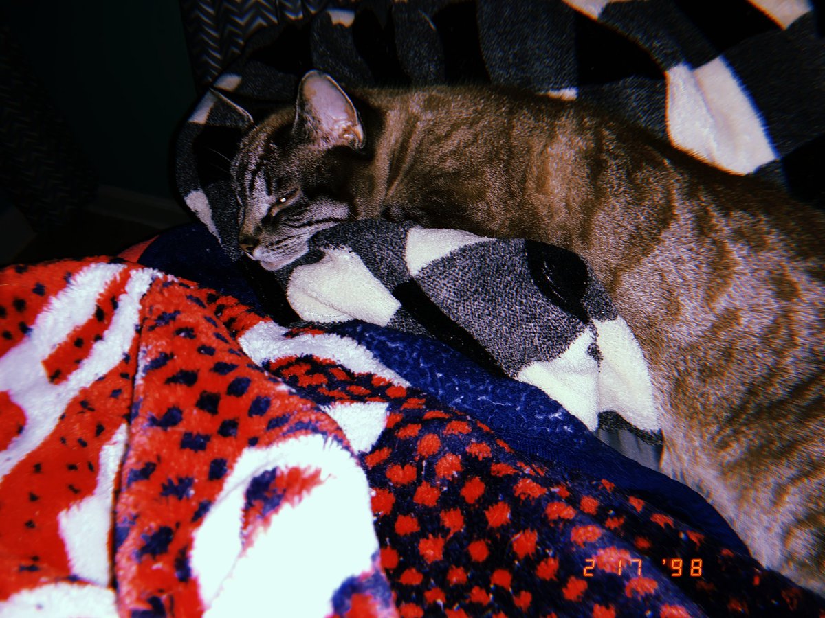 taylorswiftrep5's tweet image. hey guys!! agatha and i wanted just wanted to tell you to have a great day and never forget to SHAKE IT OFF!!❤❤🌻🌻
@taylorswift13 @taylornation13