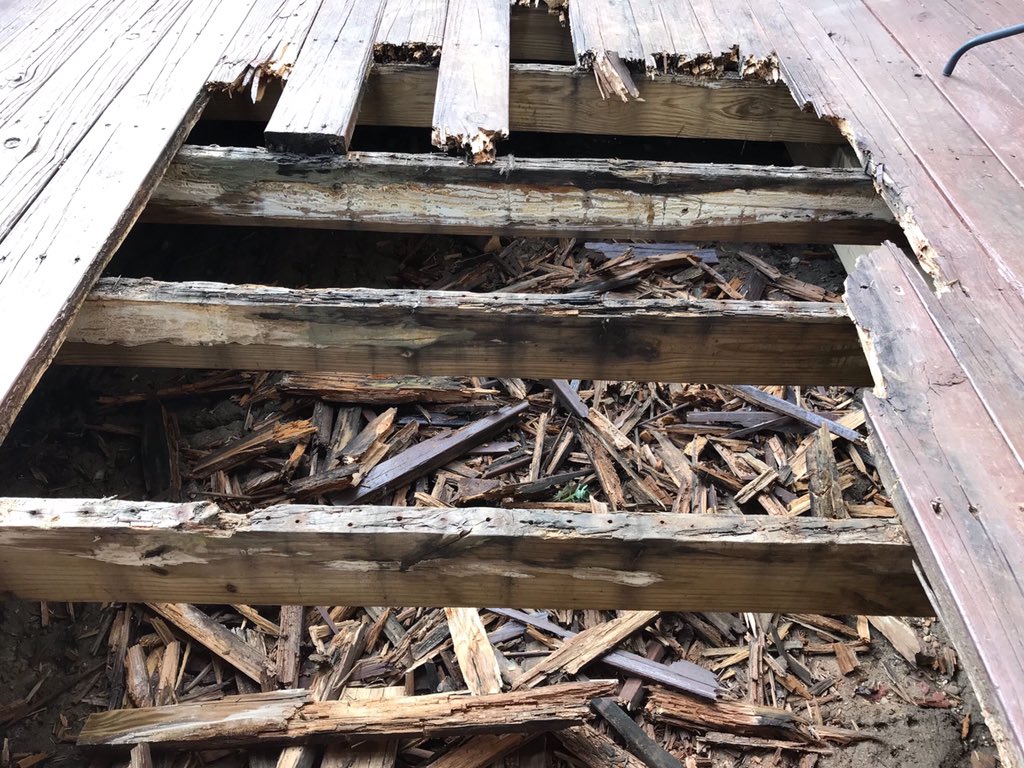 Adam Holbrook tweet media