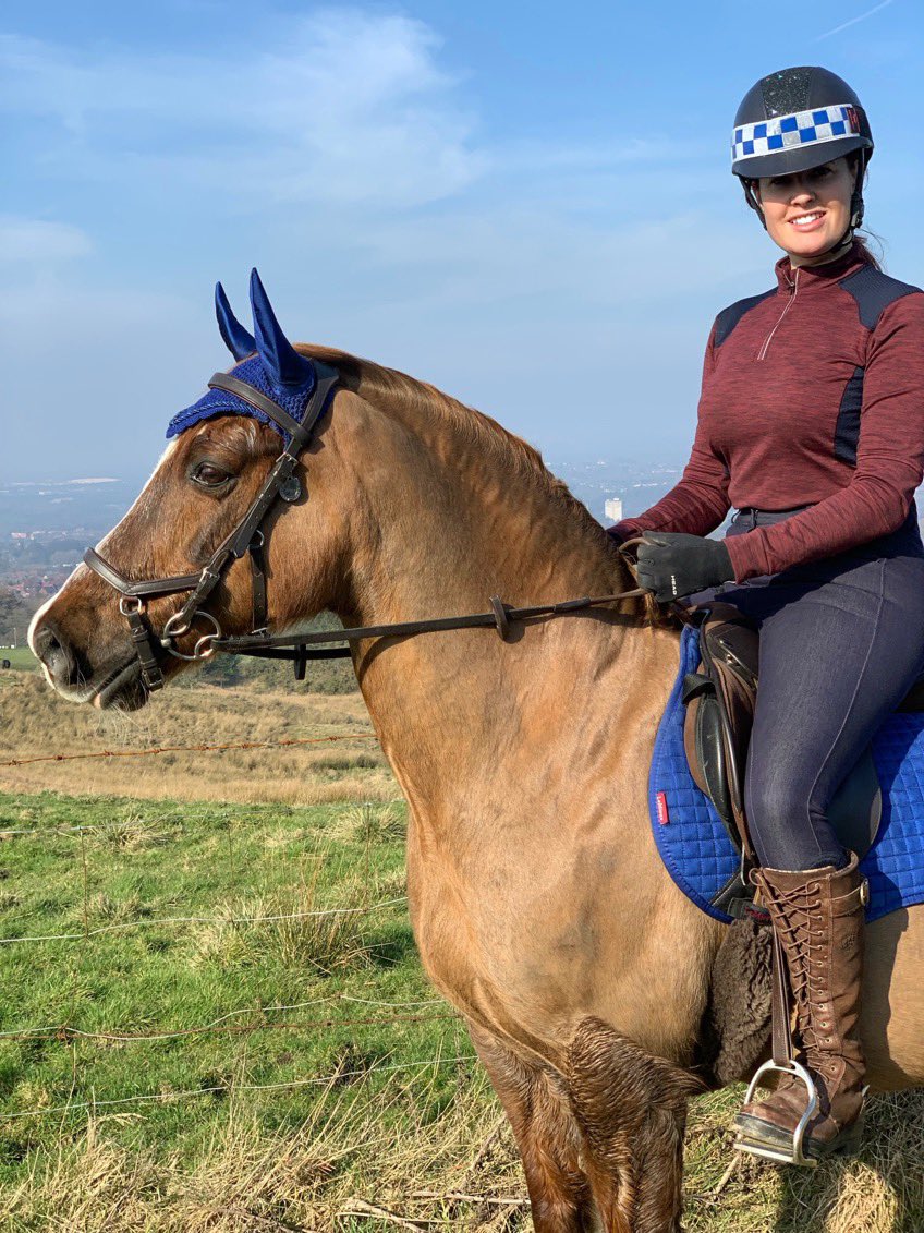 star_stylist's tweet photo. You can’t beat sharing the sunshine ☀️ with my favourite ginger boy. Who would think he’s almost 20! #fit #pony #welshC #welshsectionC #horse #paddock https://t.co/wh9zOffFtt