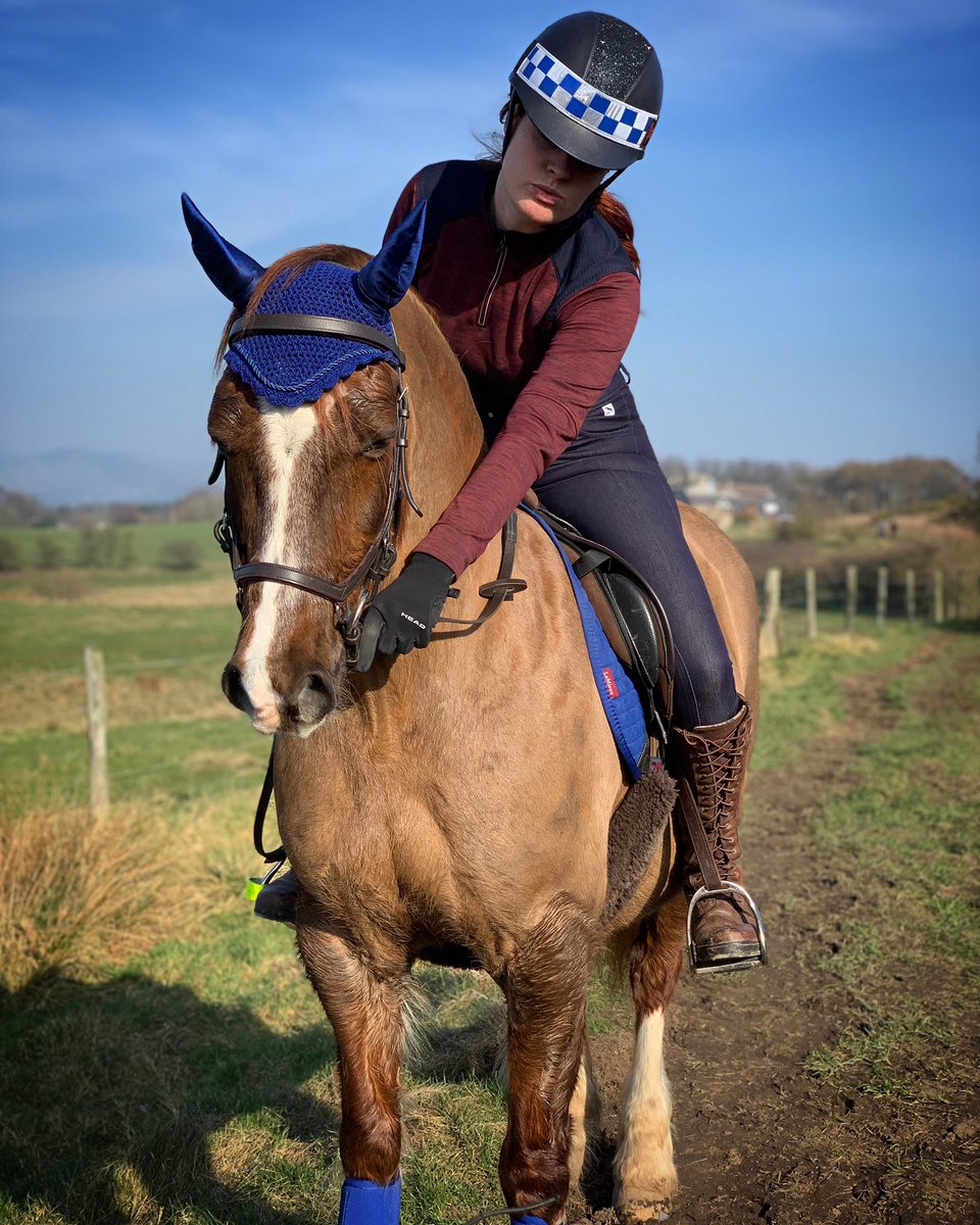 star_stylist's tweet photo. You can’t beat sharing the sunshine ☀️ with my favourite ginger boy. Who would think he’s almost 20! #fit #pony #welshC #welshsectionC #horse #paddock https://t.co/wh9zOffFtt