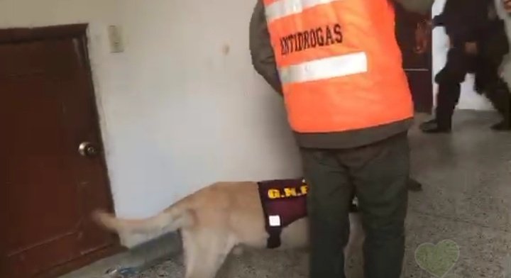 4:36 pm Scott, el perro antidrogas de la Guardia Nacional, que también cruzó la frontera hacia Colombia por una trocha junto con este oficial, miembro del Comando Nacional Antidrogas de la GNB. Ya ambos están a salvo.  #24Feb