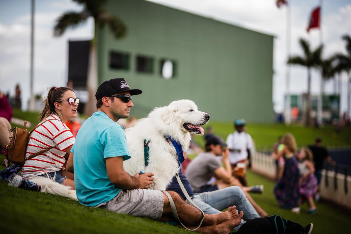 astros's tweet photo. Nothing but a bunch of good dogs. 😍 https://t.co/tgGuagh8K3