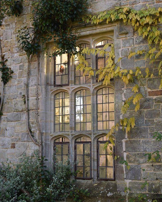 bugs_birds's tweet photo. B: What a difference some sunshine makes!🌞🌞🌞 Spent most of this weekend outside and feeling so much better for it! Did you manage to get out in the sun? #nymans https://t.co/CvpvakMOhY https://t.co/nMiza6UTUA