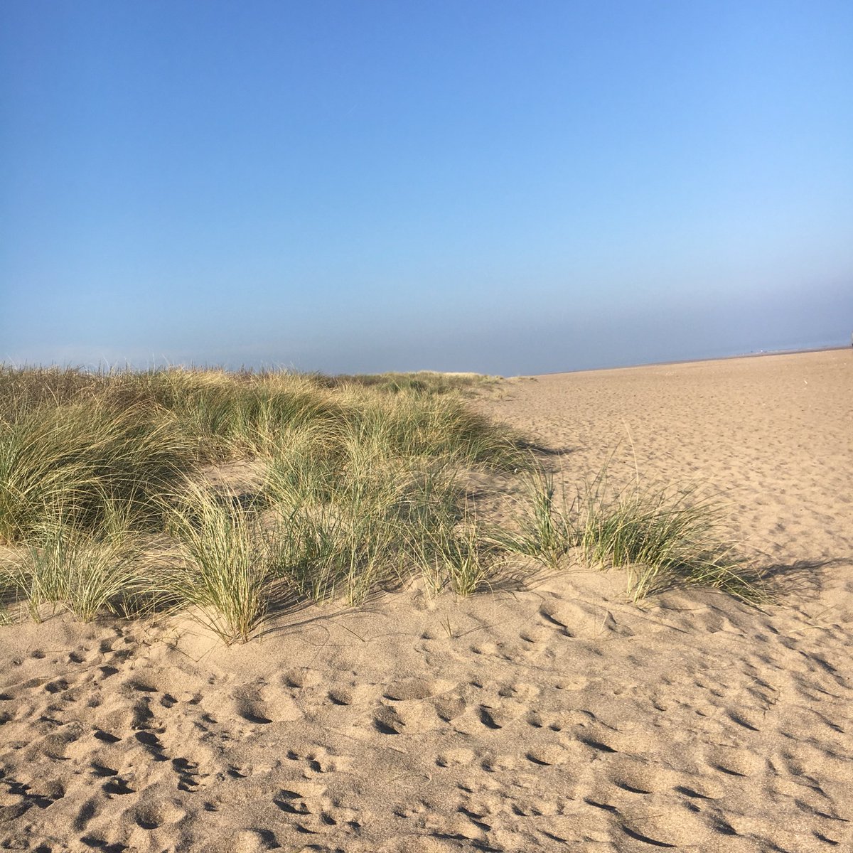 Emily G Cunningham MBE tweet media