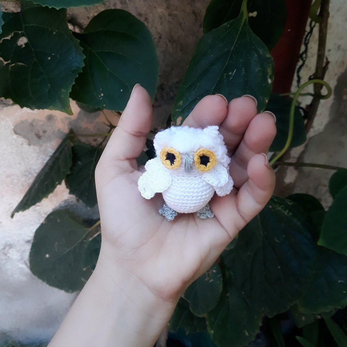 PatryF7's tweet photo. https://t.co/45W4TJ3s6k