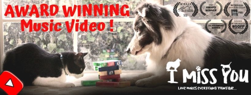 Music Lovers Fans♫ tweet media