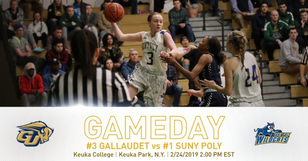 PolyWildcats's tweet photo. 🏀🏆#CHAMPIONSHIP #GAMEDAY🏆🏀
#PolyWBB takes on @GallaudetBison today at 2:00 PM. 
Winner will be crowned the 2019 @NEACSports WBB Champion!
🕐- 2:00 PM
📍- Keuka Park, N.Y.
📹- https://t.co/I3Wp0BihCT
📊- https://t.co/KBLakqccgn
#d3hoops #KEUvsSPI #NEACwbb https://t.co/HWUJdCA2Rp