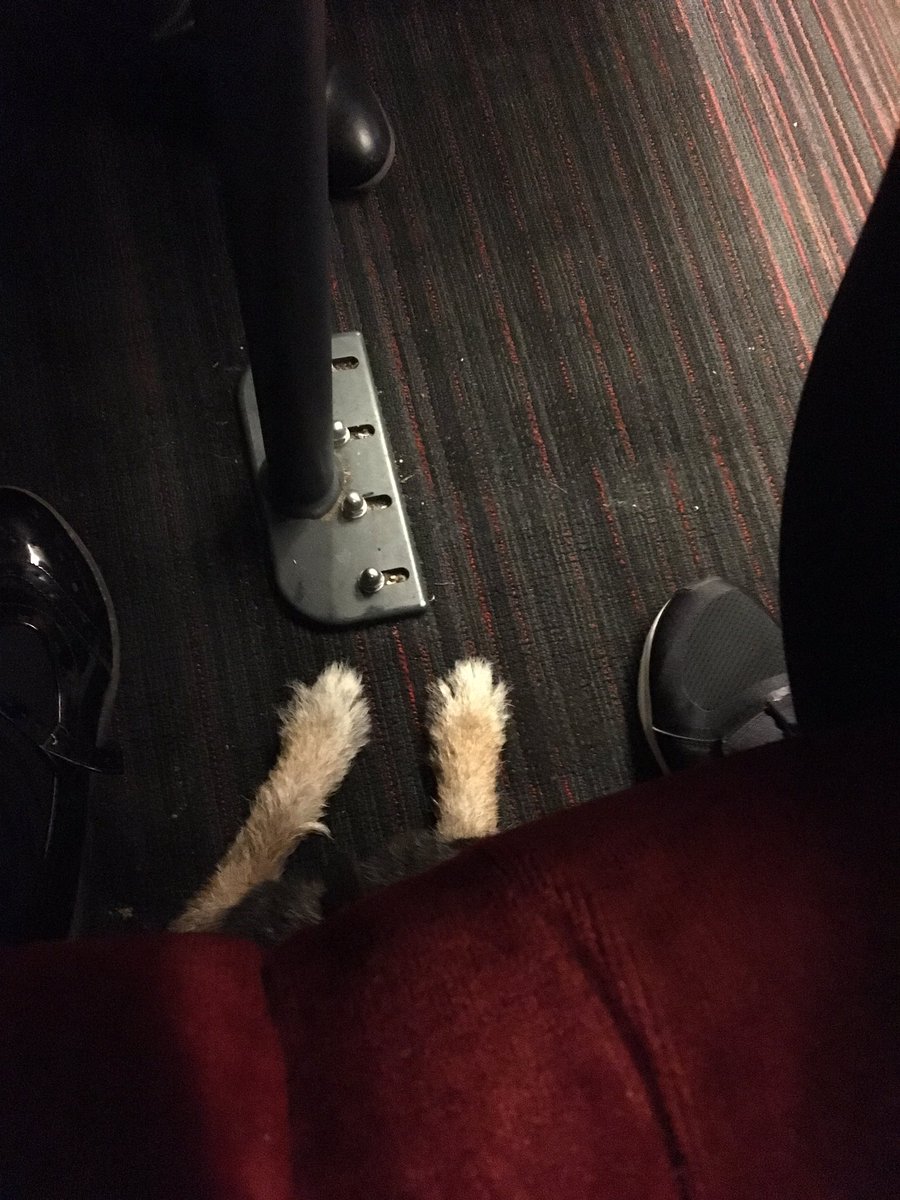AlisonEntEv's tweet image. That thing when the #uktrain is really busy &amp;amp; then you can feel your foot “tingling” but you can barely move .. then you realise why #seatvisitor