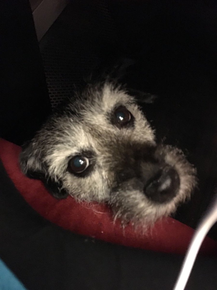 AlisonEntEv's tweet image. That thing when the #uktrain is really busy &amp;amp; then you can feel your foot “tingling” but you can barely move .. then you realise why #seatvisitor