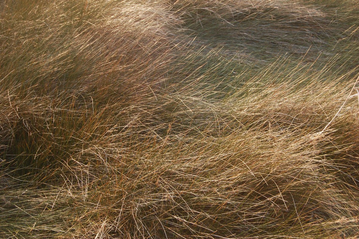 martha_never's tweet photo. shapes #photography #landscape #exploringlandscape https://t.co/cZpIZDOLRY