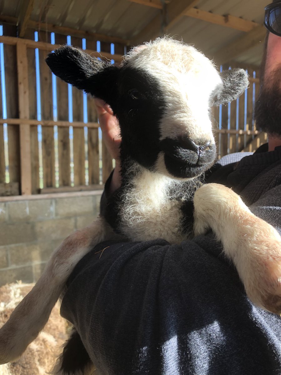 AnotherSmallholder tweet media