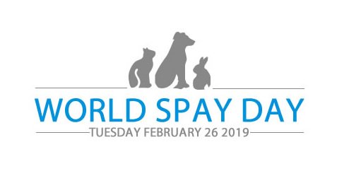 This Tuesday, February 26th is World Spay Day! To celebrate the Eau Claire County Humane Association will be giving out $50 spay/neuter vouchers here at the shelter (3900 Old Town Hall Rd.) starting at noon.  The vouchers will given out on a first come first serve basis.