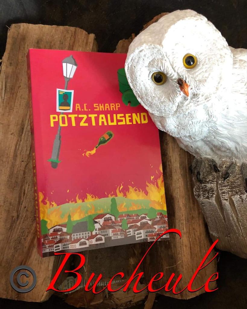 BlogderB's tweet image. Neue #rezension online.
Mehr erfahrt ihr wie immer auf unserer #fb und #instagram Seite.
#acsharp
#potztausend
#buchblog
#rezensionsexemplar