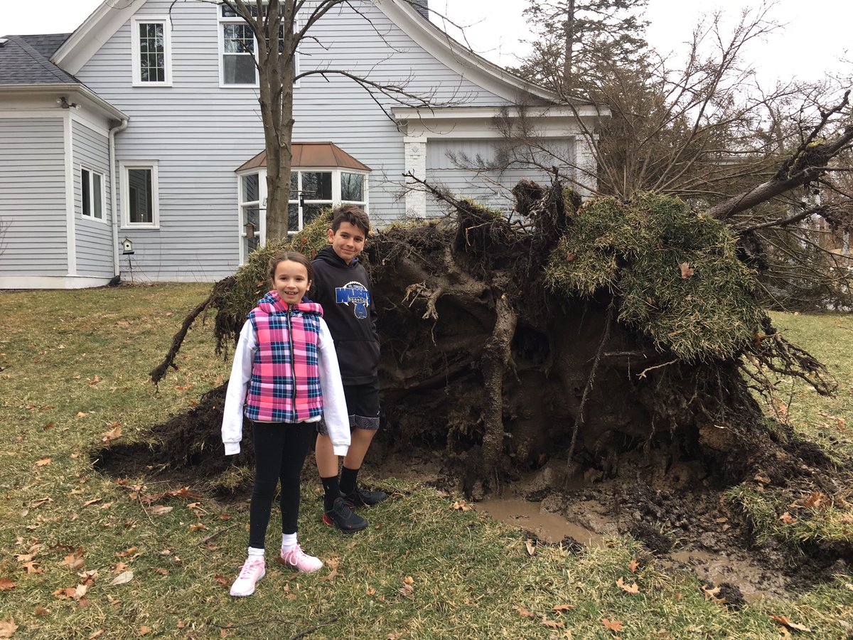70ft tree falls on the historic McCarthy house in #PalosPark Sunday during wind storm. <a href="/nbcchicago/">NBC Chicago</a> <a href="/cbschicago/">CBS Chicago</a> <a href="/WGNTV/">WGNTV</a> <a href="/ABC/">ABC News</a> <a href="/NBCNews/">NBC News</a> <a href="/CBSNews/">CBS News</a>